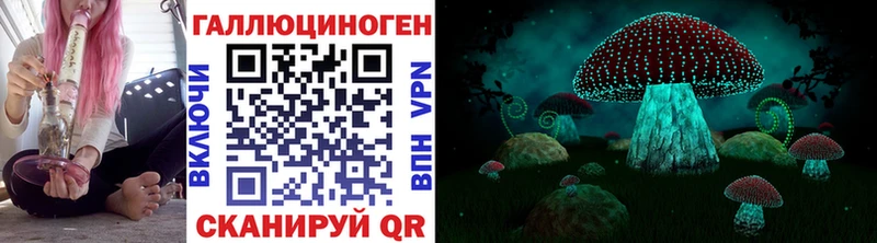 купить цена Гусиноозёрск OMG маркетплейс Псилоцибиновые грибы GOLDEN TEACHER